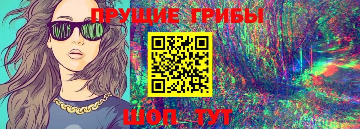 Псилоцибиновые грибы Psilocybine cubensis Гуково