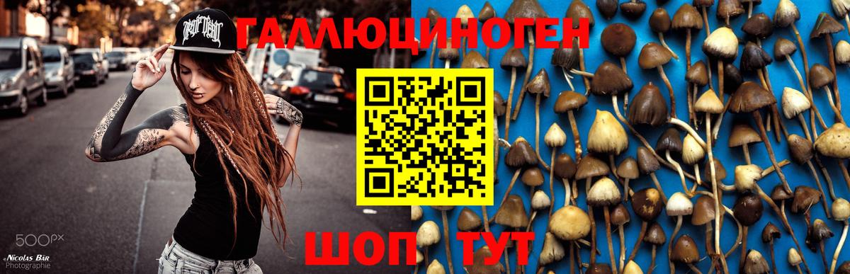 Гуково  Псилоцибиновые грибы Cubensis  дарнет шоп  Вход с VPN 